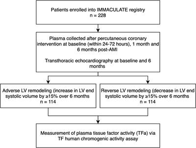 Plasma tissue factor coagulation activity in post-acute myocardial infarction patients